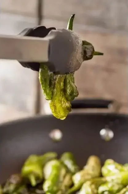 Bratpaprika zubereiten – Pimientos de Padrón in heißem Olivenöl anbraten